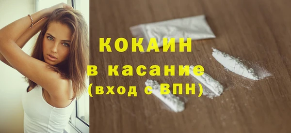 гидра Абаза