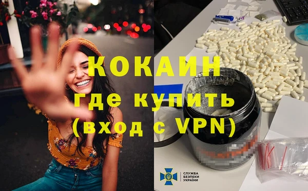 гидра Абаза