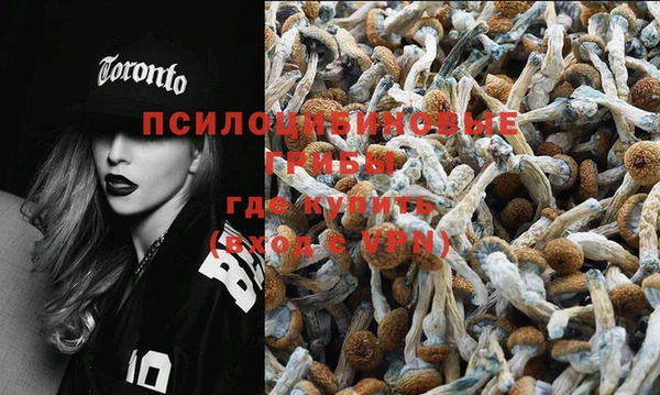 гидропоника Рославль