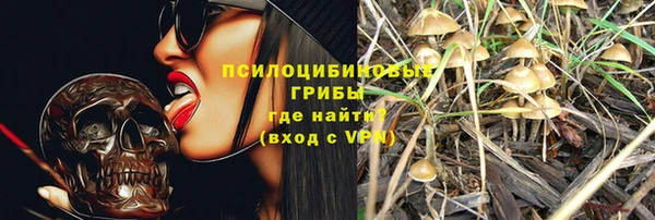 дживик Абинск