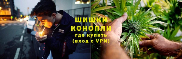 сатива Абдулино