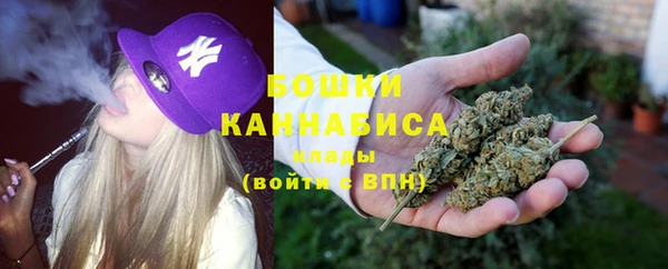 гидропоника Рославль
